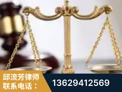 濮阳-委托诉讼代理人出庭